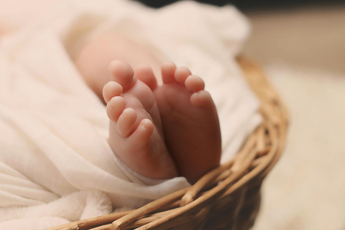 Cute newborn feet in a basket, with a sheet covering them gently